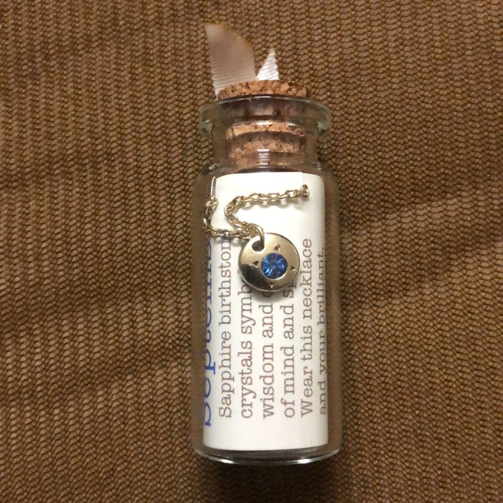❤️ 3/$20 ❤️ NWT Sapphire Birthstone Necklace - Picture 2 of 2